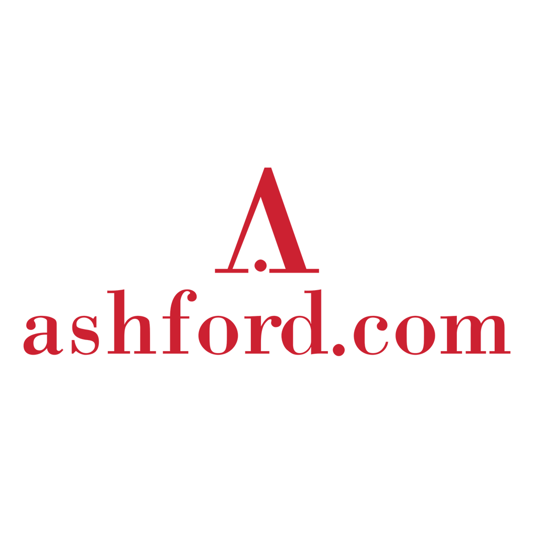 Ashford.com Mesh Connector™